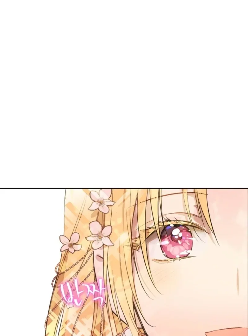 Who Made Me a Princess Chapter 131 page 39