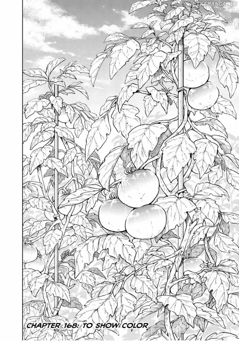 Wind Breaker (NII Satoru) Chapter 168 page 2