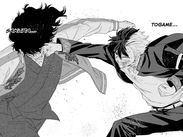 Wind Breaker (NII Satoru) Chapter 21 page 14