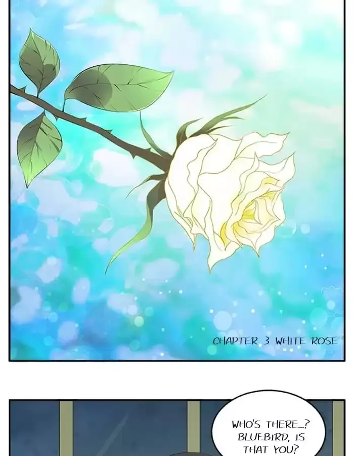 Wish Fulfillment Chapter 11 page 3