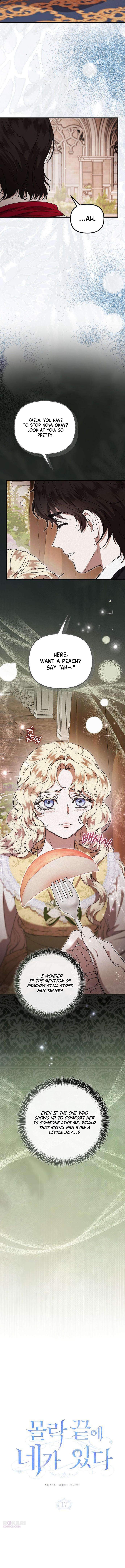 You Are at the End of the Downfall Chapter 17 page 8