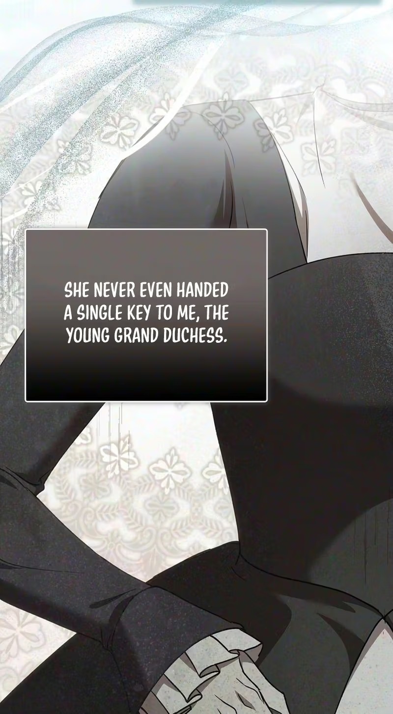 You Are at the End of the Downfall Chapter 20 page 95