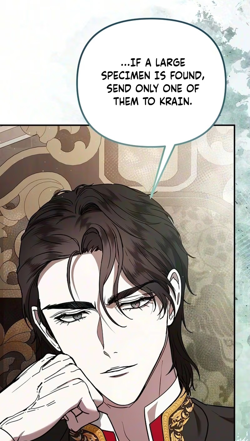 You Are at the End of the Downfall Chapter 21 page 13