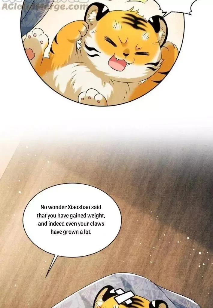 You Own My All Chapter 94 page 16
