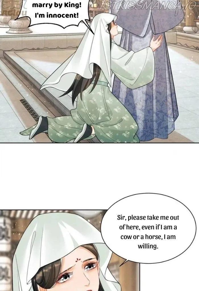 You Own My All Chapter 96 page 30